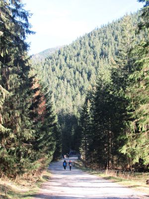 Wycieczka 3e 17